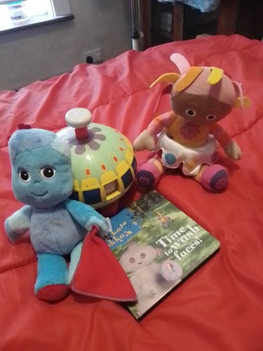 The night garden ninky nonk - the,
